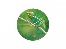 Часы настенные Nicole Time NT503 в Агролесе - agroles.mebel-nsk.ru | фото