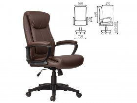 Кресло офисное BRABIX Enter EX-511, коричневое в Агролесе - agroles.mebel-nsk.ru | фото