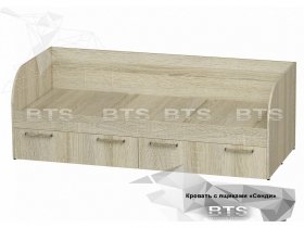 Кровать детская Сенди КР-01 (BTS) в Агролесе - agroles.mebel-nsk.ru | фото