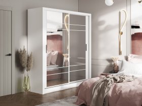 Шкаф-купе Дрим-1 2,0м (белый) в Агролесе - agroles.mebel-nsk.ru | фото